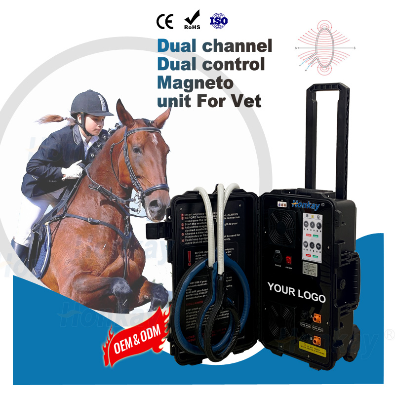 Equine PEMF Machine: Loop vs Blanket Systems Compared