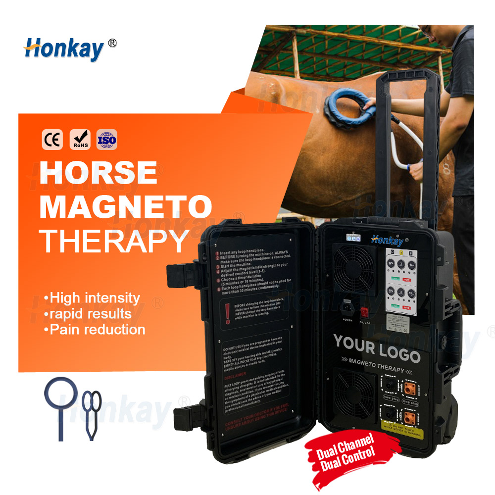 Horse magneto therapy - large loop applicator applied to the hindquarter, with operating steps printed inside the case lid