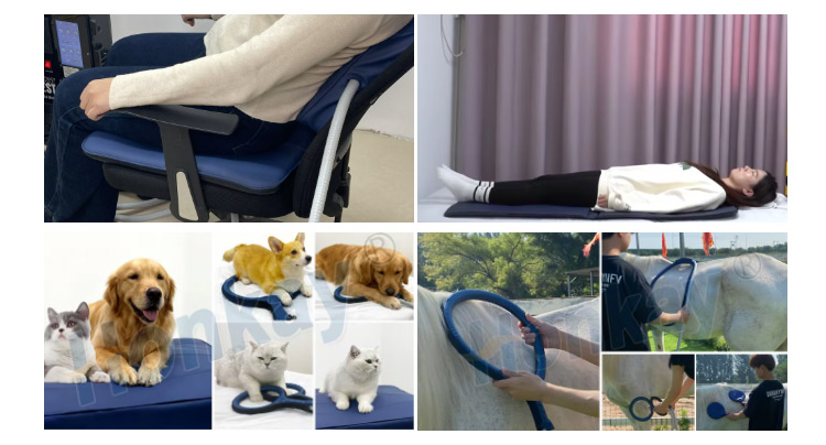 Applicator formats in use: a chair cushion for seated treatment, a square mat, cats and dogs resting on pet mats, and large loops applied to a horse's back and hindquarters