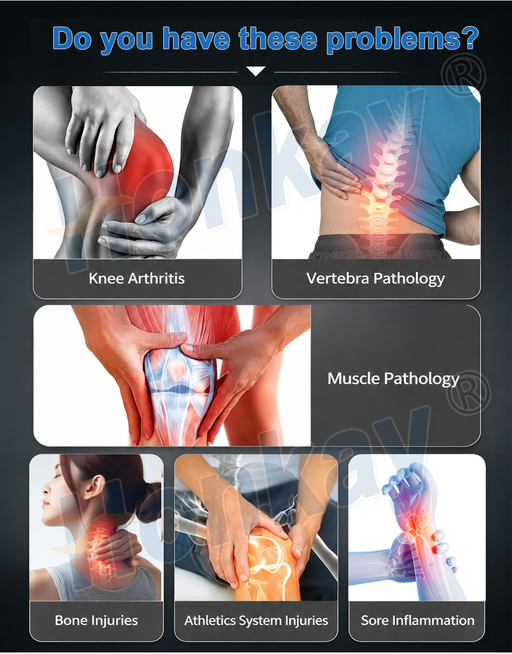 PEMF therapy indications shown as clinical presentations including knee arthritis, vertebra pathology, muscle pathology, bone injuries, athletic system injuries and sore inflammation