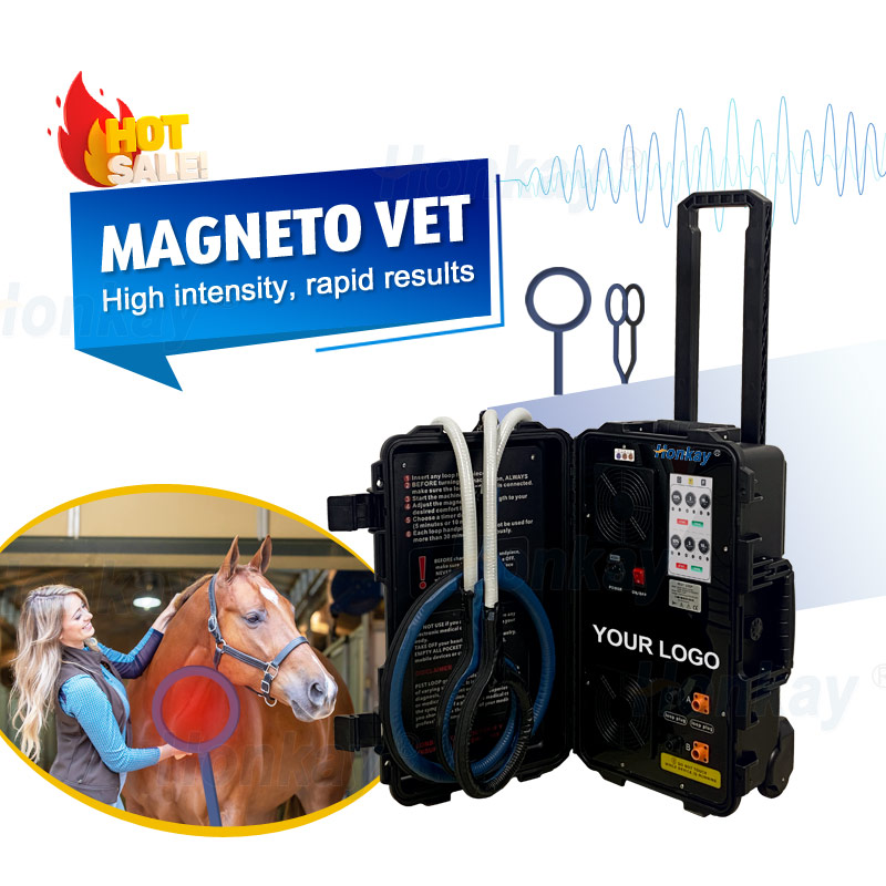Portable magneto unit for equine use in a wheeled case with the operating instructions on the inner lid